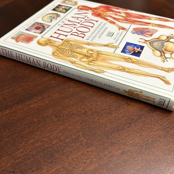 DK Hardcover Nonfiction Book: The Human Body Illustrated Guide 1995 EC - Picture 11 of 11